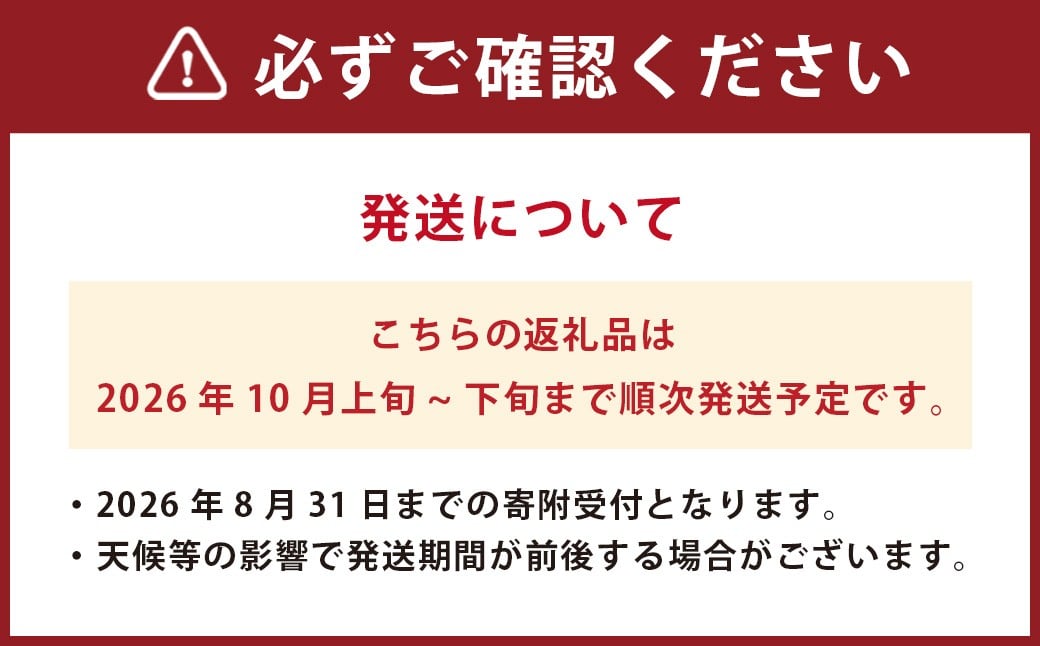 熊本県産新高梨 約7.5kg