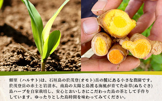 太陽の茶（12種類ブレンド）【 沖縄 石垣島 お茶 ハーブ ティー 無農薬 】HR-1
