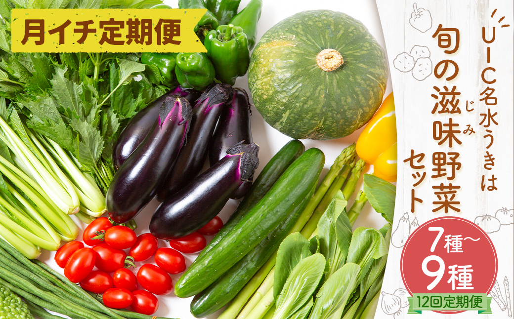 【月イチ定期便】UIC 名水うきはの無農薬減農薬お野菜セット (ひと月1箱×1年間=計12回)