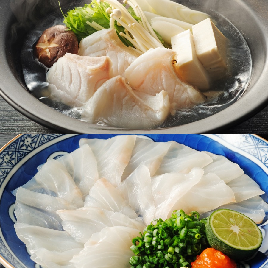 ＜福井鮮魚＞養殖くえ「鍋＆刺身」2～3人前