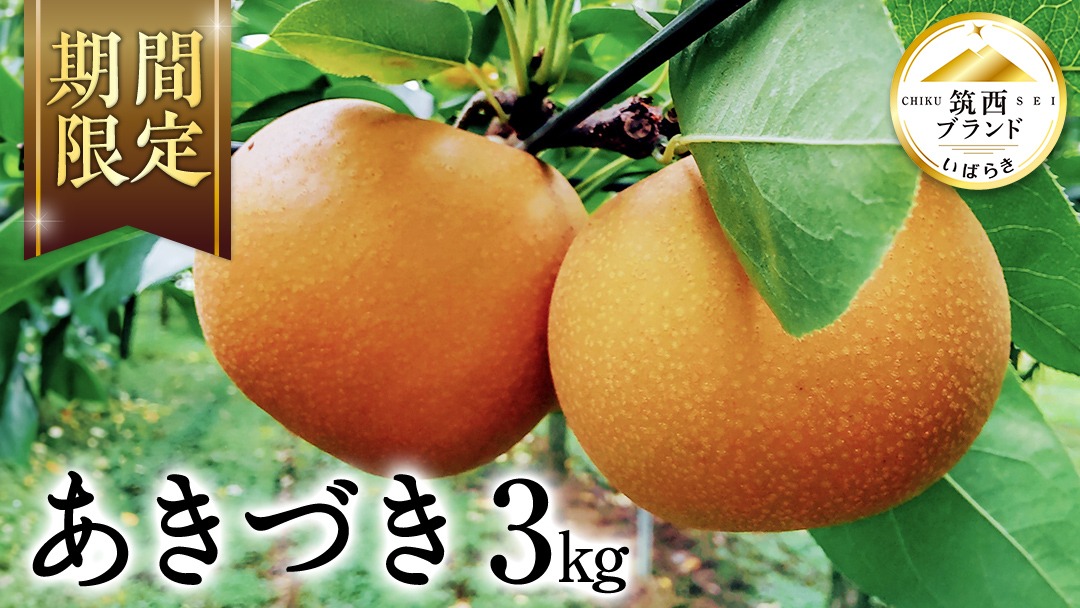 【 JA 北つくば 】 筑西ブランド 認証品 あきづき ( 梨 ) 3kg 2025年産 先行予約 梨 果物 フルーツ なし ナシ 和梨 秋月 秋月梨 あきづき梨 くだもの デザート 茨城 [AE055ci]