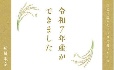 【岐阜県代表品種】 令和7年産 ハツシモ米 【白米】5kg M8 【12月以降順次発送】