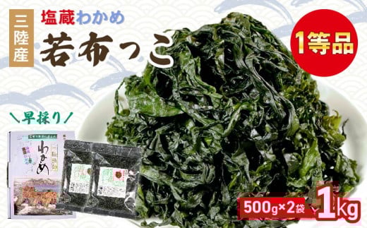 早採り 塩蔵わかめ 若布っこ 500g×2袋 海鮮 海藻 わかめ ワカメ 贈答品 贈答用 魚貝類 魚介類 みそ汁 スープ 酢の物 小分け テレビ TV 放送 ニュース 番組 大船渡 大船渡市 三陸 岩手県
