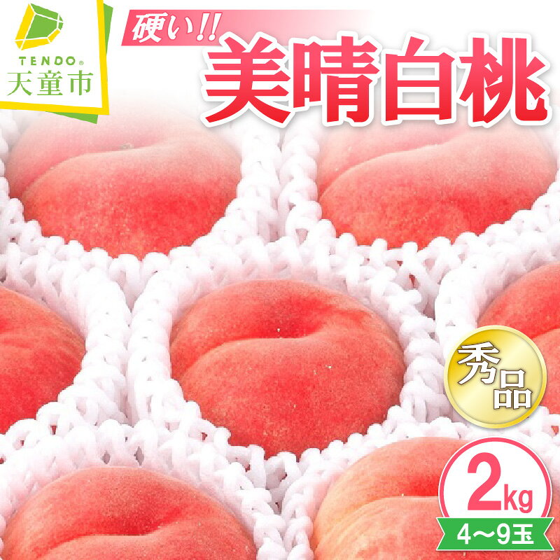【ふるさと納税】 硬い !! もも ( 美晴白桃 ) 2kg 秀 先行予約 令和8年産 2026年産 白桃 桃 硬め ピーチ peach フルーツ 果物 くだもの デザート 8月 9月 旬 冷蔵 ご家庭用 のし 贈答 ギフト プレゼント お取り寄せグルメ 産地直送 送料無料 【 山形県 天童市 】