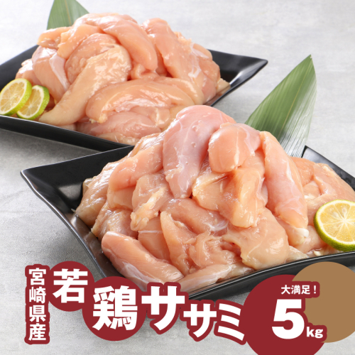 ＜宮崎県産若鶏ささみ　1kg×5パック＞ K16_0045_2