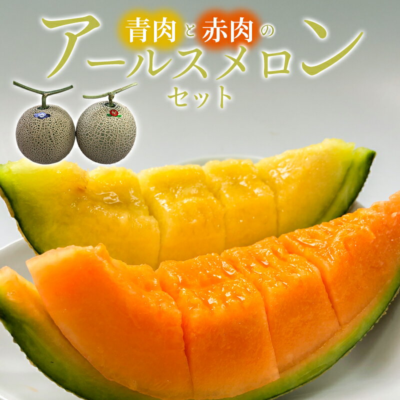 【ふるさと納税】 先行予約 アールスメロン 青肉 赤肉 各1玉 果物 フルーツ メロン 季節限定 期間限定 特産品 お取り寄せ グルメ