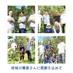 ＼飲み比べ／ 紫波町産りんご使用 おまかせ飲み比べセット 6本入り (AY003)