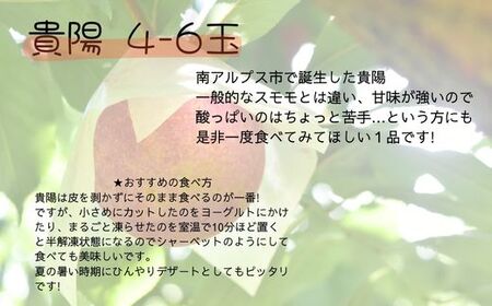 6-94 南アルプス市からのちいさな贈り物！少量くだもの定期便