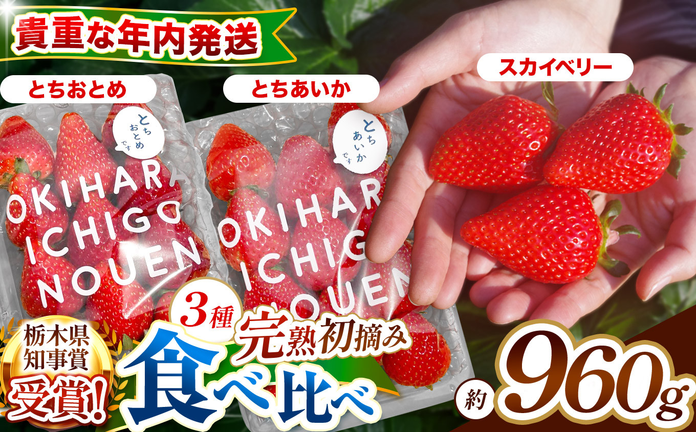【先行予約】[数量限定] 貴重な12月発送！贅沢な栃木のいちご3種食べ比べセット 960g | とちあいか とちおとめ スカイベリー 食べ比べ3品種 960g｜20000円