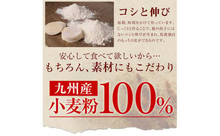 馬渡のもっちり 餃子 国産 肉 小分け 惣菜 人気 240個(40個×6パック)