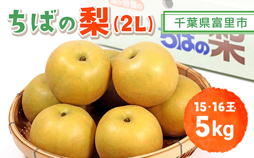
【数量・期間限定】旬をお届け！富里市産 梨２L ５㎏（15,16玉）/ なし 梨 秋の味覚 産地直送 甘い 旨味 送料無料 期間限定 数量限定 JA JA富里 農協 ちば 千葉県産とみさと 富里 富里市 TMF009
