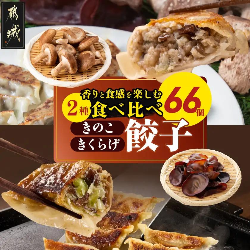香りを堪能「きのこ餃子」&食感楽しむ「きくらげ餃子」食べ比べ66個_12-87-002_(都城市) ギョウザ きくらげ餃子 きのこ餃子 にんにく使用 大杉しいたけ園 2種 食べ比べ 焼き餃子 水餃子 揚げ餃子