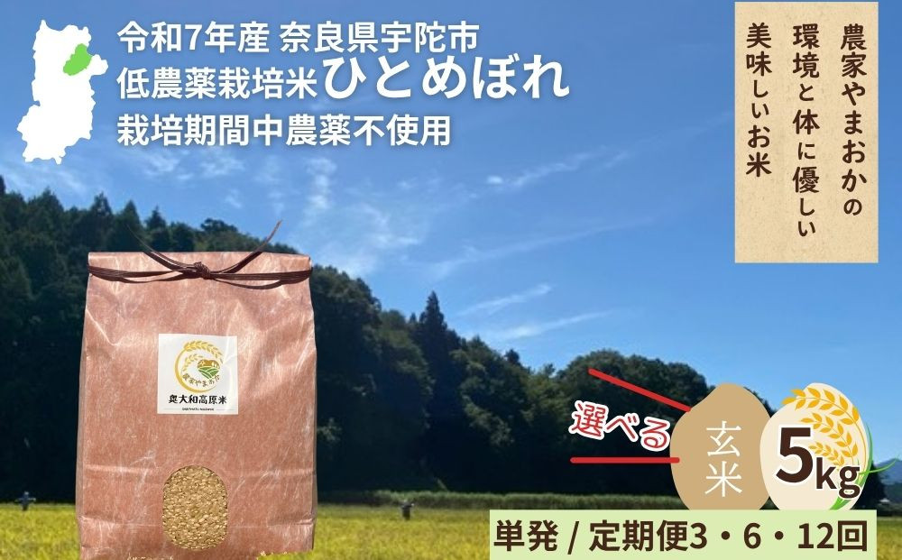 
            ＜令和7年産・先行予約＞＜選べる!! 単発 / 毎月定期便3・6・12回＞ひとめぼれ 玄米 9月末より順次発送 ／ ふるさと納税 低農薬 米 お米 こめ コメ 国産 新米 玄米  農家やまおか 奈良県 宇陀市
          