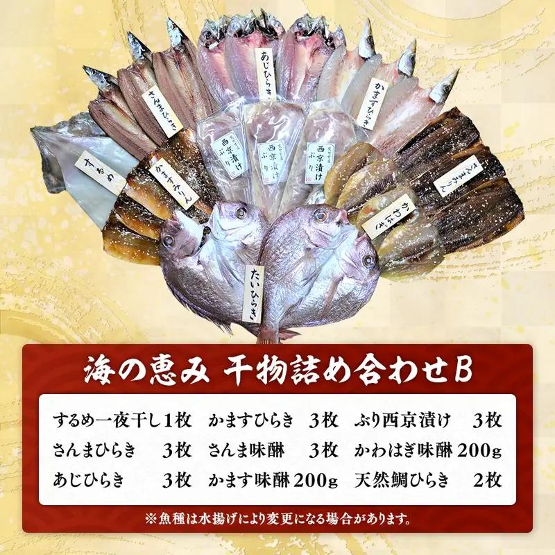 干物 詰め合わせ 9種セット 干物【hatt0002】
