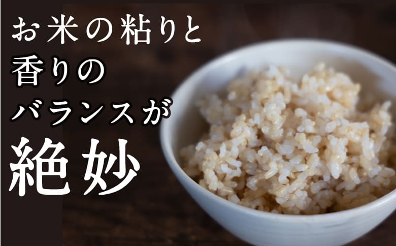 【特Aランク米】五庄屋の地で作ったお米 ひのひかり 玄米 (30kg)【Go庄屋合同会社】ヒノヒカリ こめ コメ ごはん ご飯 福岡県うきは市産 九州産 玄米 ひのひかり 30kg