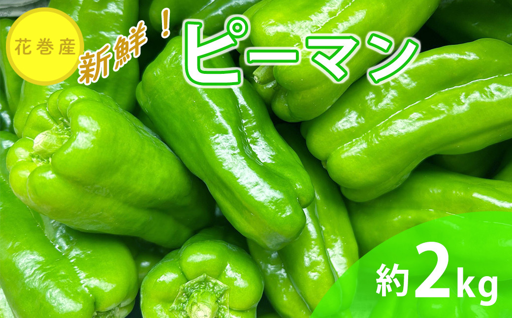 
新鮮野菜 ピーマン 約2kg 　【1637】
