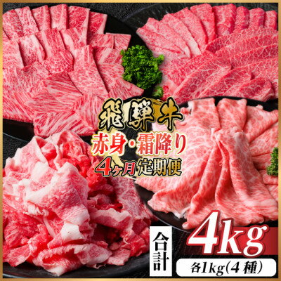 【ふるさと納税】【毎月定期便】飛騨牛　赤身・霜降り定期便　計4kg カルビ・赤身・ロース(焼肉・BBQ用)全4回【配送不可地域：離島】【4075144】