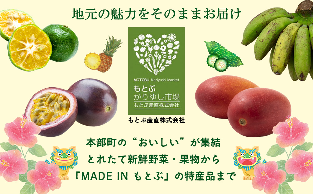 オキナワシークヮーサー100％ 500ml×2本セット