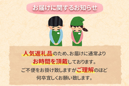 ［玄人の一品］うなぎ白焼き 2尾×12ヶ月定期便（150～200g程度/1尾あたり) 宮崎県産鰻 蒲焼タレ付【F130】
