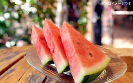 【先行予約】大玉 スイカ　1玉（約7〜9kg）　【中島農園】[AYCX001]