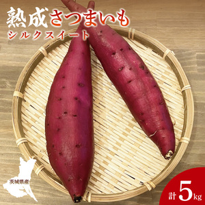 【先行予約】【10月中旬より順次発送予定】熟成さつまいも シルクスイート5kg｜茨城県 大子町 サツマイモ 芋 甘い ホクホク 野菜 数量限定 5キロ 旬（CH003）
