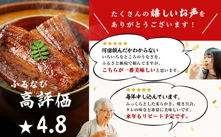 【数量限定】【お礼の品人気No1】霧島湧水鰻の蒲焼き 160g以上×5尾＜計800g以上＞ c0-103