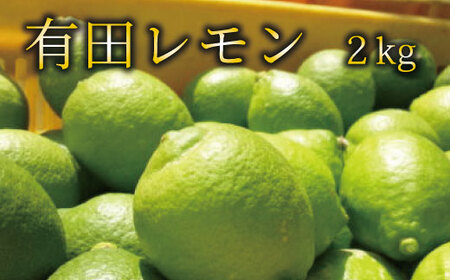 レモン 檸檬 柑橘 フルーツ 果物 【国産】紀州和歌山　有田レモン 約2kg※北海道・沖縄・離島配送不可【ard031A】