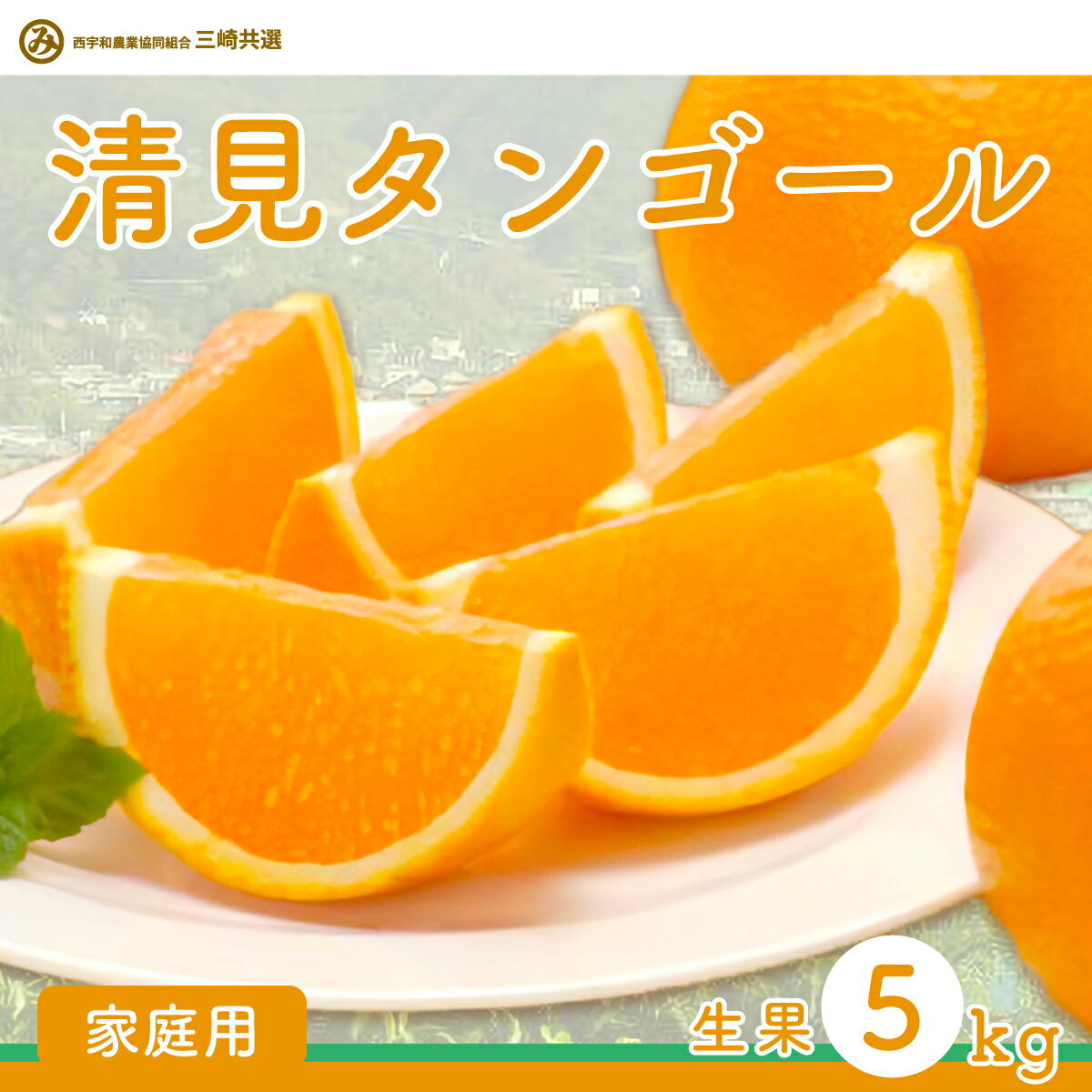 【ふるさと納税】【先行予約】【家庭用】清見タンゴール 5kg ※離島への配送不可（2026年3月上旬より順次発送予定）【 ふるさと納税 人気 おすすめ ランキング 柑橘 みかん ミカン 清見 清見タンゴール 蜜柑 果物 家庭用 愛媛県産 愛媛県 伊方町 送料無料 】 IKTBD017
