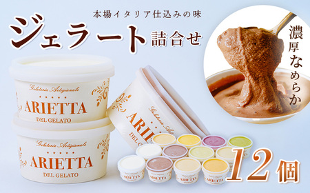 ジェラート アイス イタリア仕込みの味！「アリエッタ デル ジェラート」のジェラート詰合せ 1個あたり95㎖（12個入）| ジェラート ジェラート ジェラート ジェラート ジェラート| 018-11