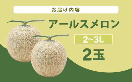 【先行予約】メロンの王様！アールスメロン 2玉入 2～4L 〈贈答用にも最適な最高級メロン〉／ 期間限定 果物 フルーツ 高級メロン マスクメロン 青肉 産地直送 ※2024年7月上旬より順次発送