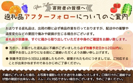 【全4回】紀州和歌山産旬のご家庭用柑橘セット(みかん・不知火・せとか・清見)【tkb412】