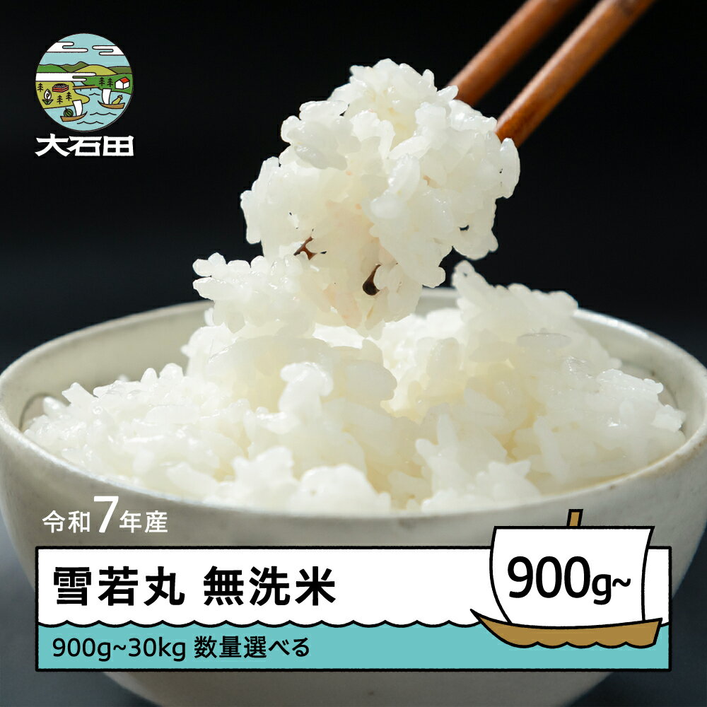 【ふるさと納税】 米 令和7年産 雪若丸 無洗米 発送時期・数量が選べる 山形県産 ※沖縄・離島配送不可 ap-yumxa