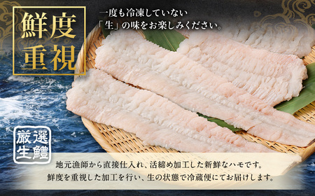 のぞみ水産 活〆 骨切り 生鱧 1kg 【2026年5月上旬から12月上旬発送予定】