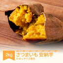 【ふるさと納税】さつまいも 安納芋 村山市産 約2kg 2024年産 令和6年産 送料無料 山形県産 ※沖縄・離島への配送不可