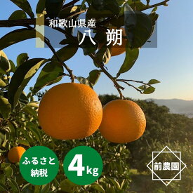 BL6113n_【産地直送】和歌山県産 八朔 4kg (M～3Lサイズ)