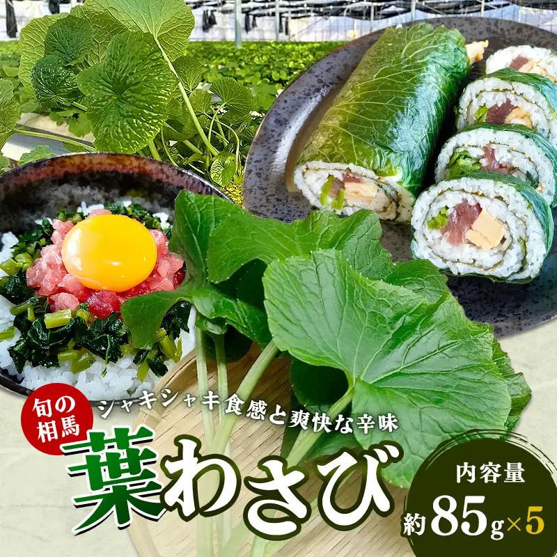 葉わさび 約425g 85g×5袋 旬の相馬  FAI-0111