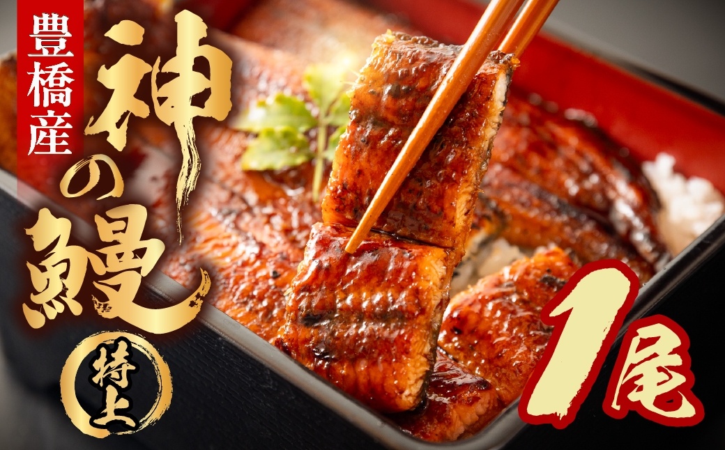 
                  うなぎの新ブランド、開幕。『神の鰻』1尾 国産 特上 選べる お届け時期 鰻 うなぎ unagi ウナギ 蒲焼 長蒲焼 国産うなぎ 上 特上 贈答 ギフト お歳暮 プレゼント お祝い 誕生日 土用の丑の日 愛知県 豊橋市
                