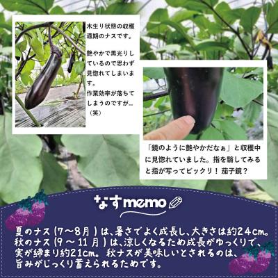 ふるさと納税 大館市 ナス 黒光りする太くて長い! 約2400g |  | 01