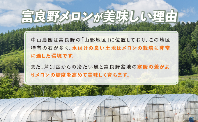 【2024年夏発送】北海道 富良野産 赤肉メロン 2玉 大玉サイズ (中山農園) メロン フルーツ 果物 新鮮 甘い 贈り物 ギフト 道産 ジューシー おやつ ふらの ブランド 夏