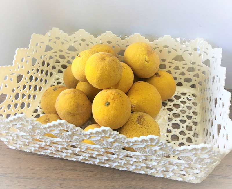 
            冷凍湘南ゴールド約1kg(B級品)【果物 フルーツ みかん ミカン 蜜柑 夏のひんやり スイーツ 訳アリ 家庭用 神奈川県 小田原市 】
          