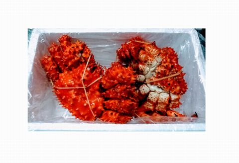 【北海道根室産】花咲ガニ450～600g×2尾 A-57038