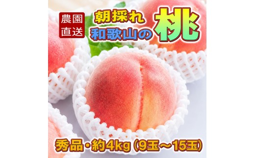 
                  【農園直送】朝採れ和歌山の桃　約4kg・秀品【2027年度発送分】※2027年6月下旬～2027年8月上旬頃順次発送【tec911B】
                