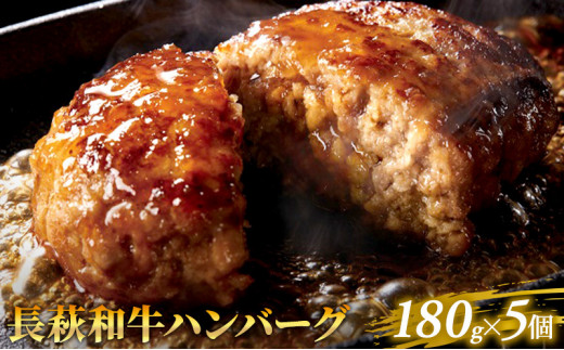 
[№5226-0188]長萩和牛ハンバーグ　180g×5個
