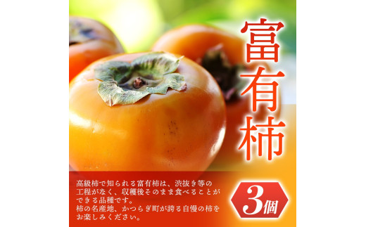 【先行予約】 道の駅くしがきの里セット 富有柿3個・温州みかん約30個の詰め合わせ こだわり農家厳選  【2025年11月中旬頃から2026年1月中旬頃順次発送】/ みかん 温州みかん 柿 富有柿 か