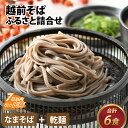 【ふるさと納税】越前 越前そば そば おろしそば 蕎麦 なまそば 乾麺 そば粉 セット 福井 越前 レシピ付 年越しそば 冷蔵配送 送料無料 / 越前そばふるさと詰合せ 合計6食 [A-120001]