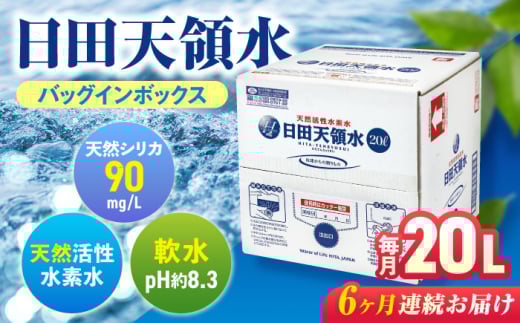 【全6回定期便】日田天領水 20L×1箱 飲料水 水 みず 備蓄 防災 天然水 天然 ミネラルウォーター みねらるうぉーたー ミネラル シリカ 日田市 / グリーングループ株式会社[AREG010]