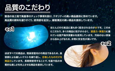 化粧水 高保湿化粧水 ANN 美保水ローション100ｍl 100ml 1本 株式会社R・T《90日以内に発送予定(土日祝除く)》肌 ギフト ローション 送料無料 徳島県 上板町