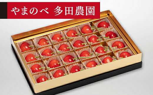 【ふるさと納税】 《先行予約》 2027年 山形県産 珠玉紅秀峰 みやび箱24粒 やまのべ多田耕太郎のさくらんぼ サクランボ 送料無料 F20A-040
