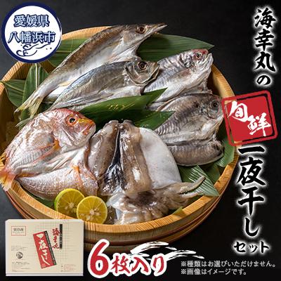 ふるさと納税 八幡浜市 海幸丸の旬鮮一夜干しセット(6枚入)【D15-6】
