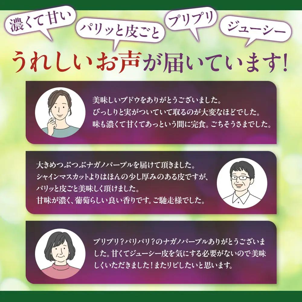 高野農園　ぶどう  訳あり 長野市松代産 ナガノパープル 約1kg バラ房 果物 ブドウ 葡萄 フルーツ デザート おやつ 種なし TAKANO農園 信州 | ぶどう